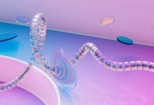 network integrity control numbers