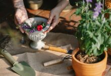 maximize your digital growth