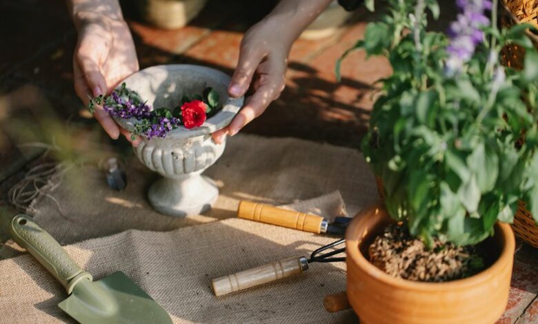 maximize your digital growth