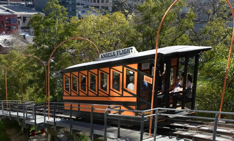 online marketing platform elevation