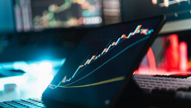 boost online growth pansexual platform