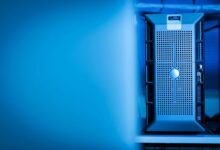 elevate digital influence web services