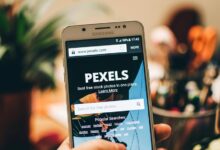 expand your digital reach with web experts