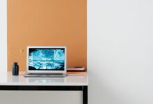 optimize online business marketing experts