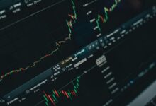 scale your business growth platform