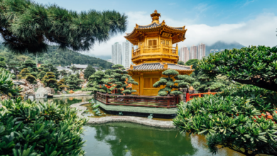 Top Hong Kong Travel Attractions Nobody Should Miss