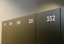 number registry profile exploration