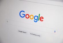 number registry search results