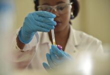 registry investigation results summary
