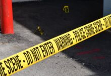 registry investigation review needed