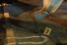 review investigation data numbers