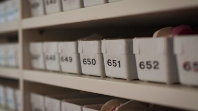 search public registry records